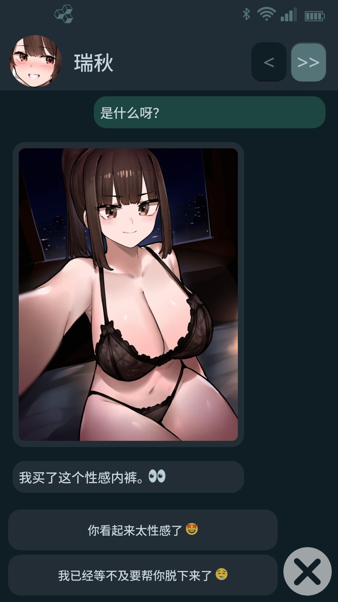 图片[2]-【安卓】NTR手机(NTR Phone) V0.32.2 官方中文-免费资源铺